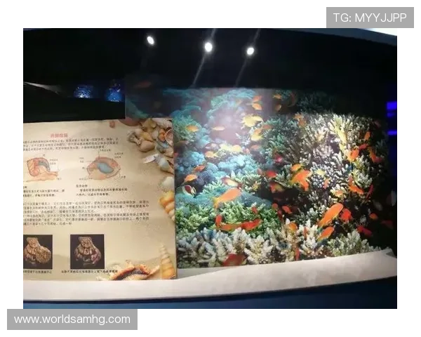 海洋之神入口安全登录流程详解确保玩家顺利进入游戏体验海底奇观